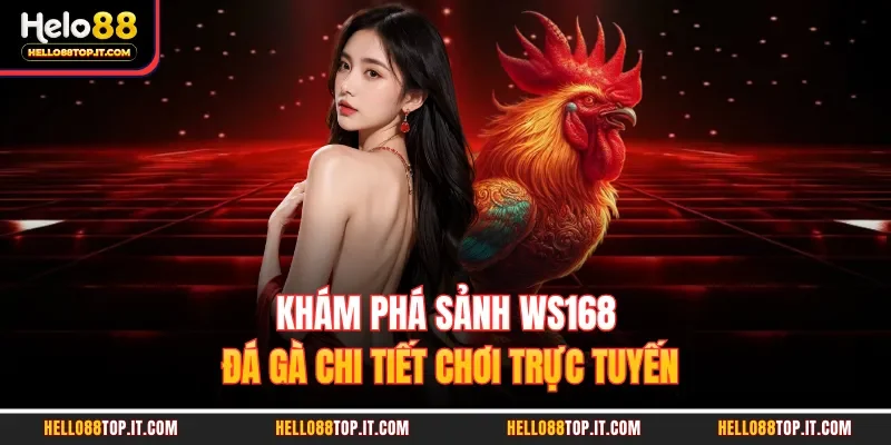 Khám phá sảnh WS168 đá gà chi tiết chơi trực tuyến