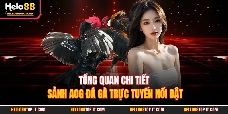 Tổng quan chi tiết sảnh AOG đá gà trực tuyến nổi bật 